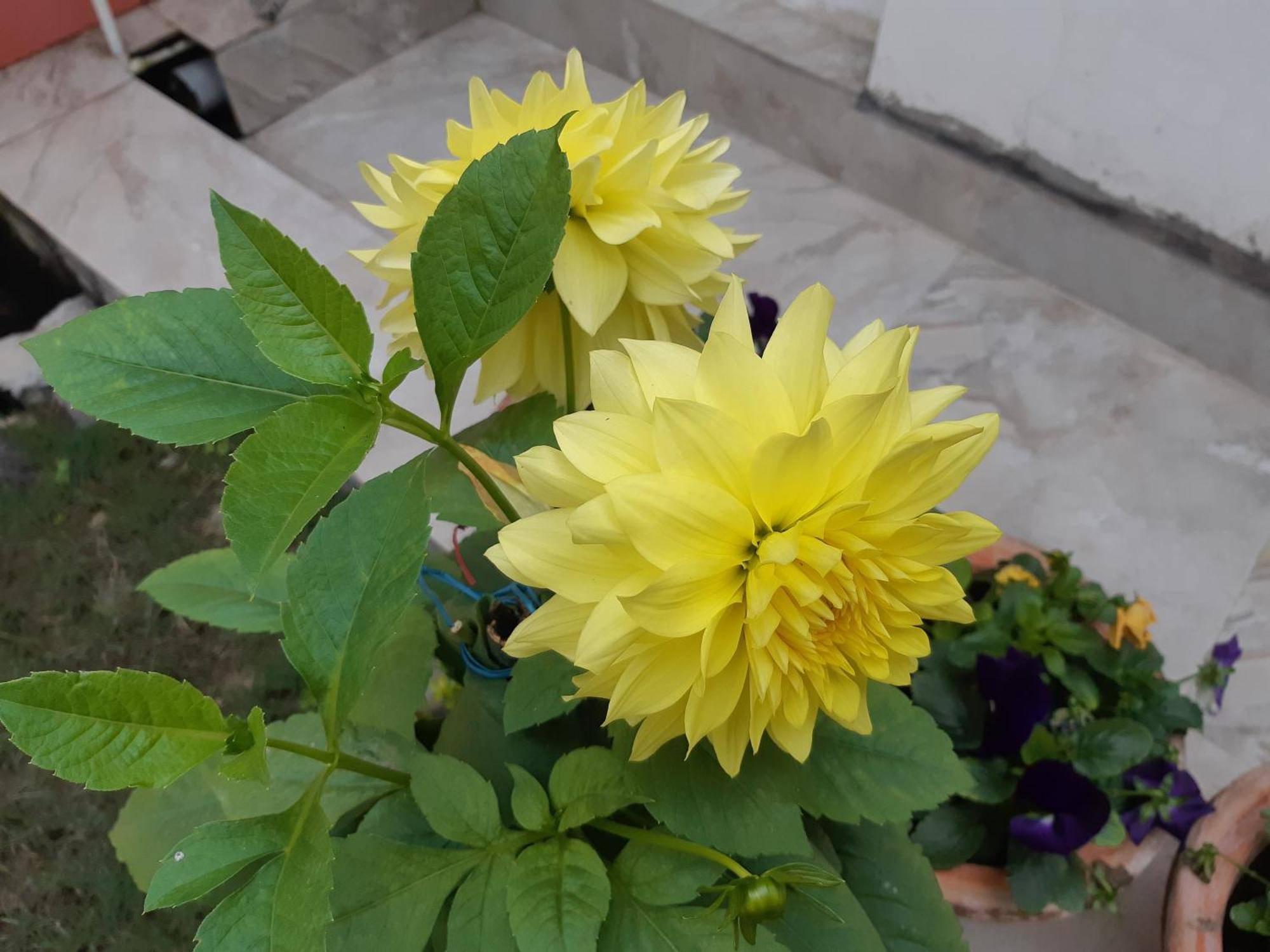 Fully Furnished Ish, Atithya Homestay With Various Amenities And Free Services In Lucknow, India Exterior foto